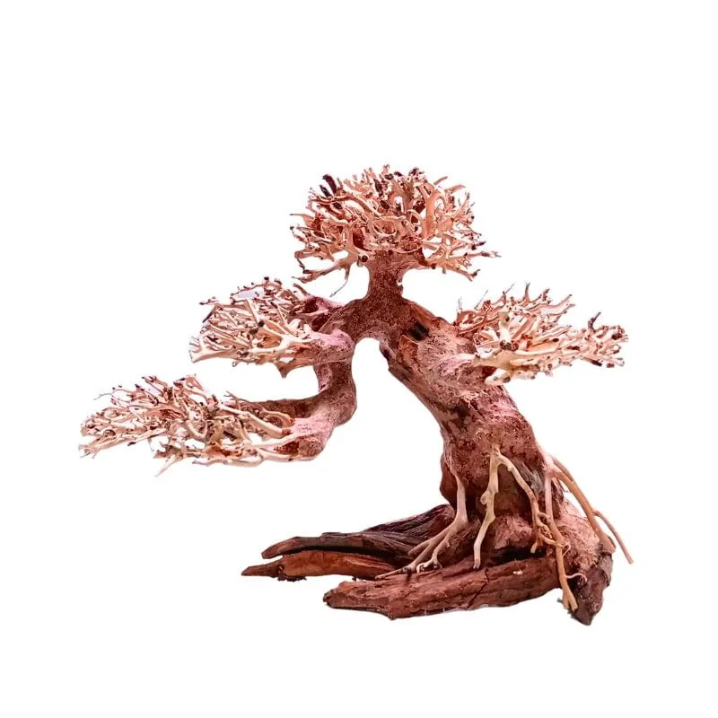 ANS Bonsai Tree 17 (SSS / SS / MS / L)