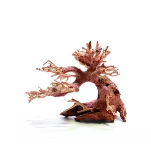 ANS Bonsai Tree 17 (SSS / SS / MS / L)