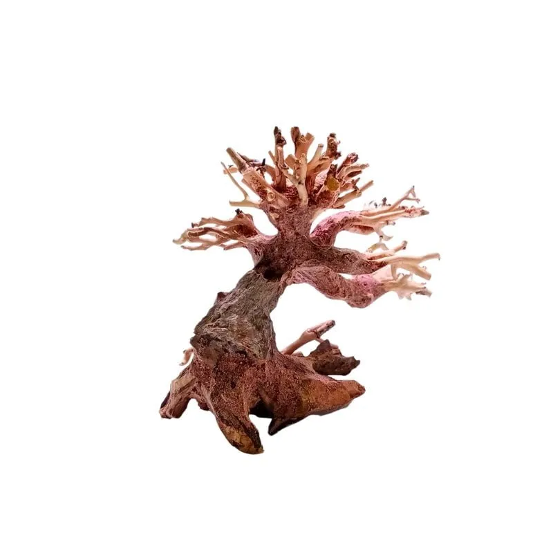ANS Bonsai Tree 17 (SSS / SS / MS / L)