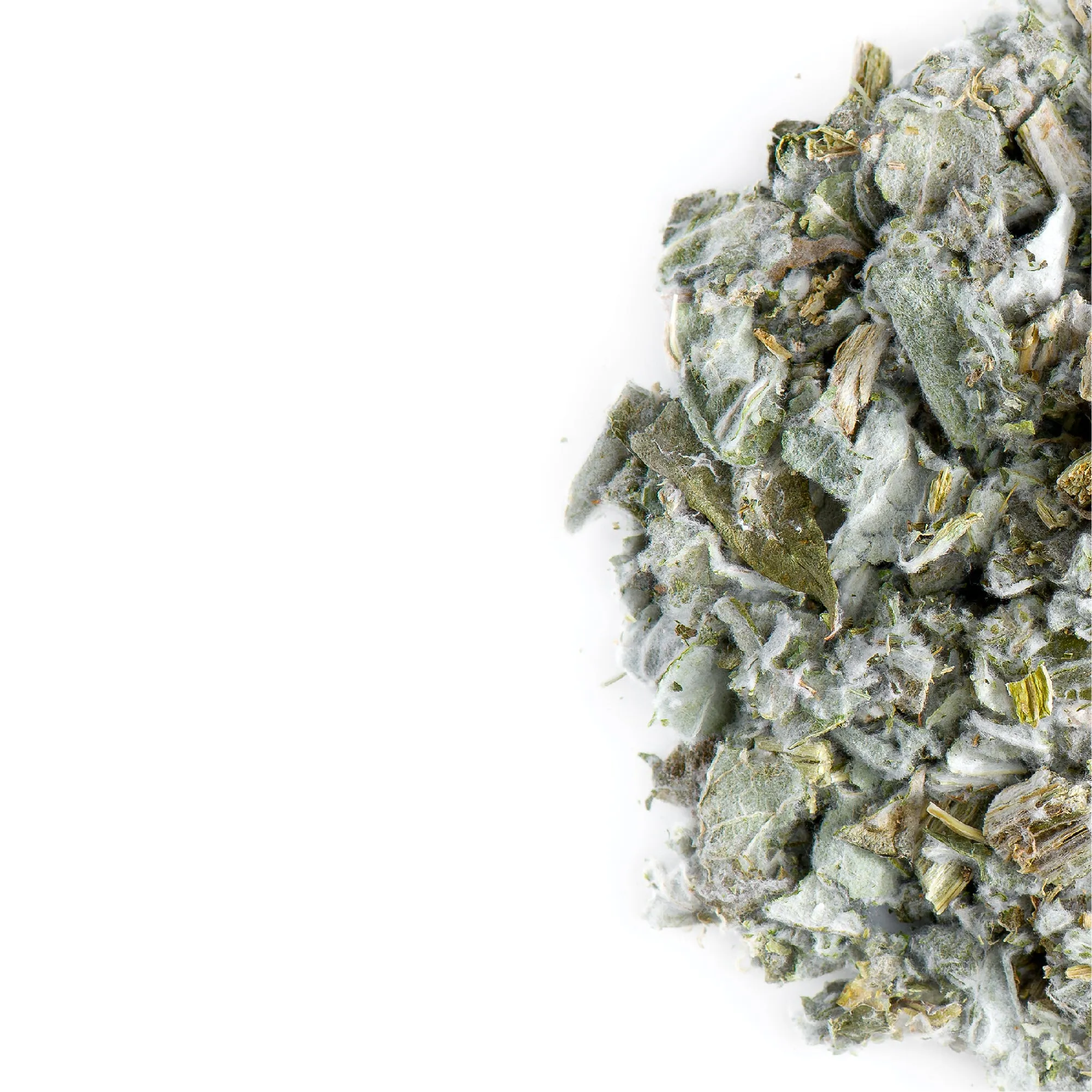 Artichoke
