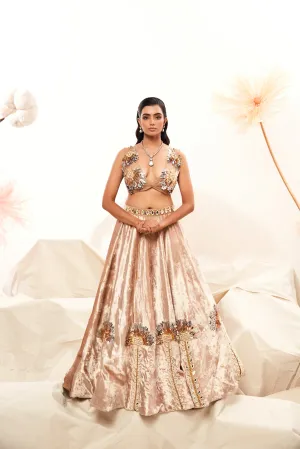 Champaign colour velvet lehenga