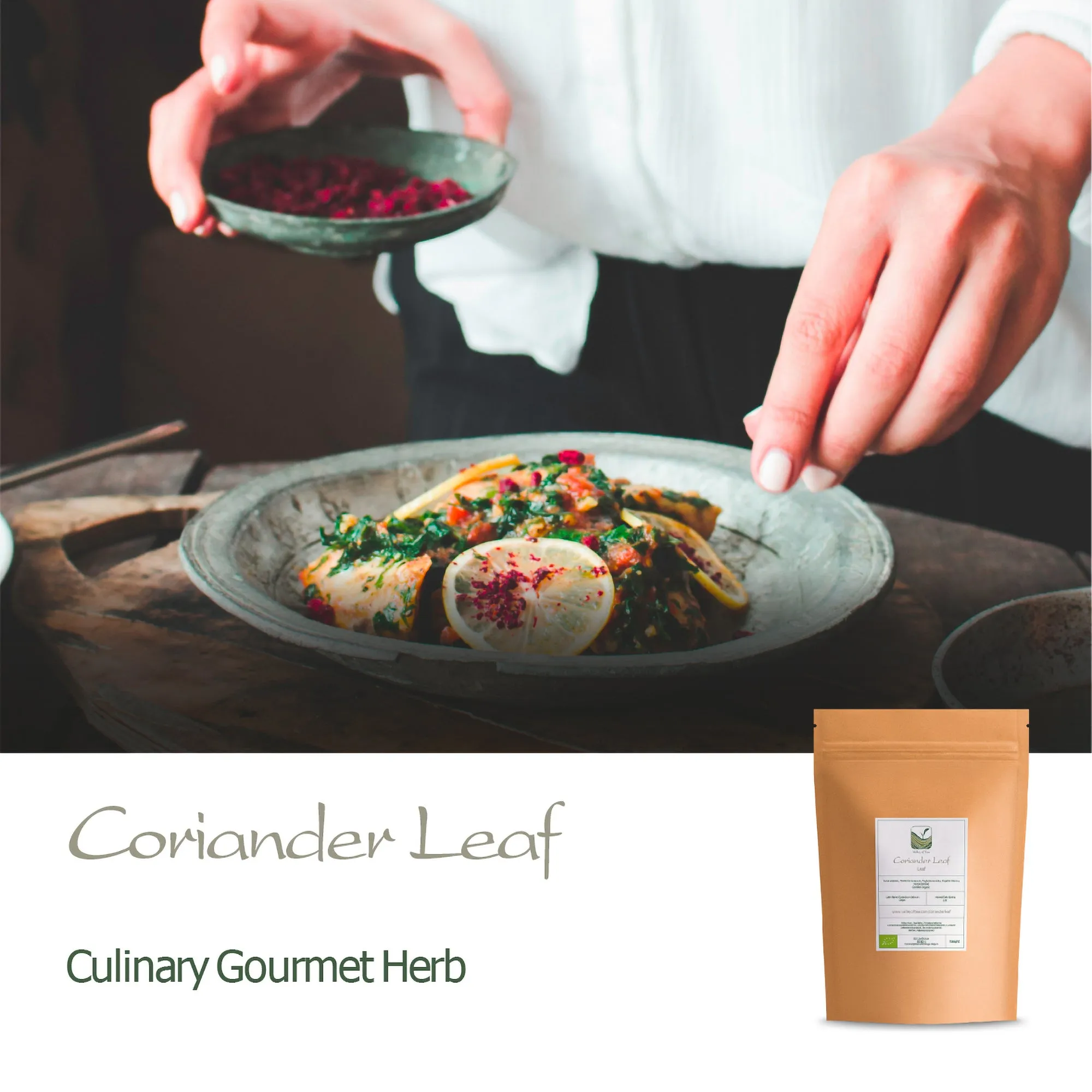 Coriander Leaf