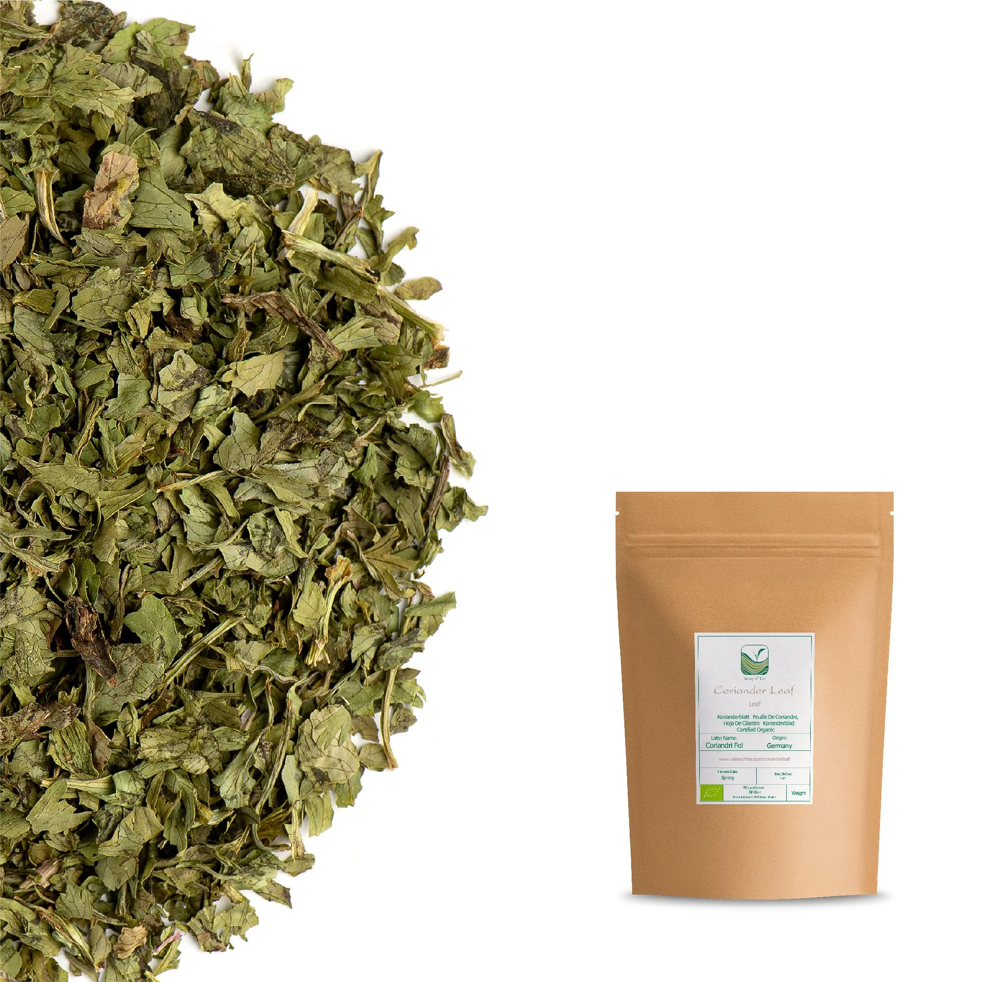 Coriander Leaf