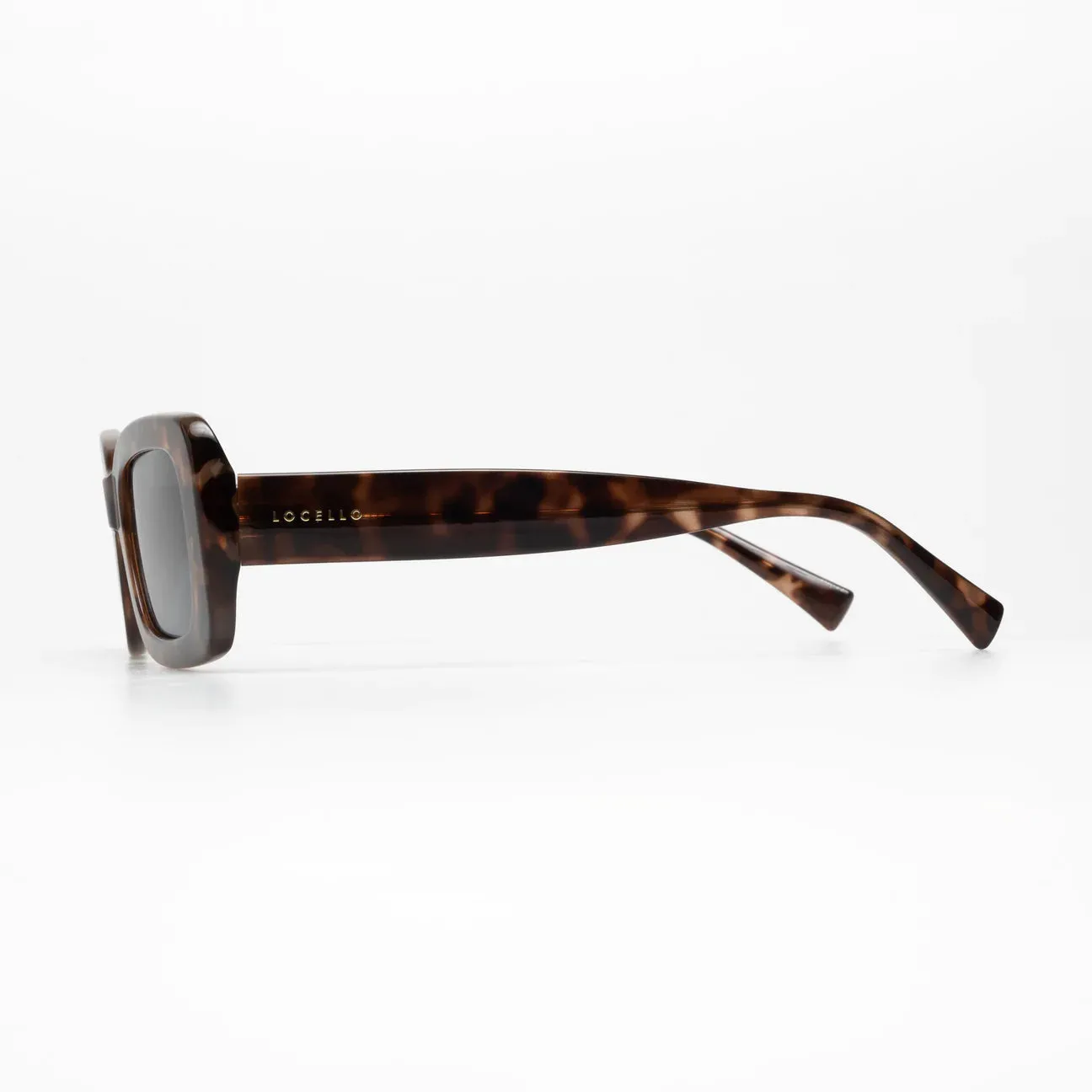 Quinn (Tortoiseshell)