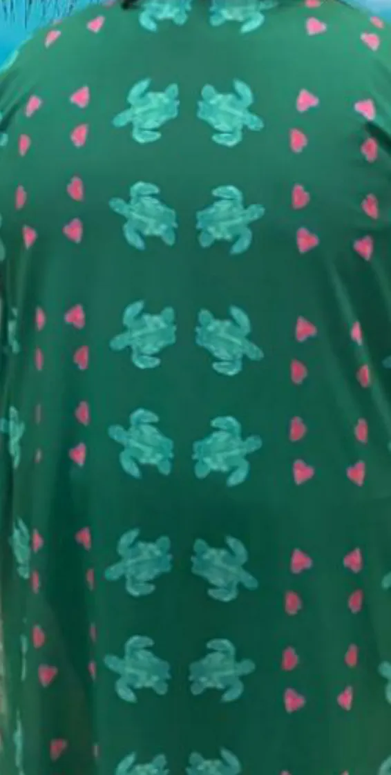 Save the Turtles Chiffon Cover up Womens Wrap