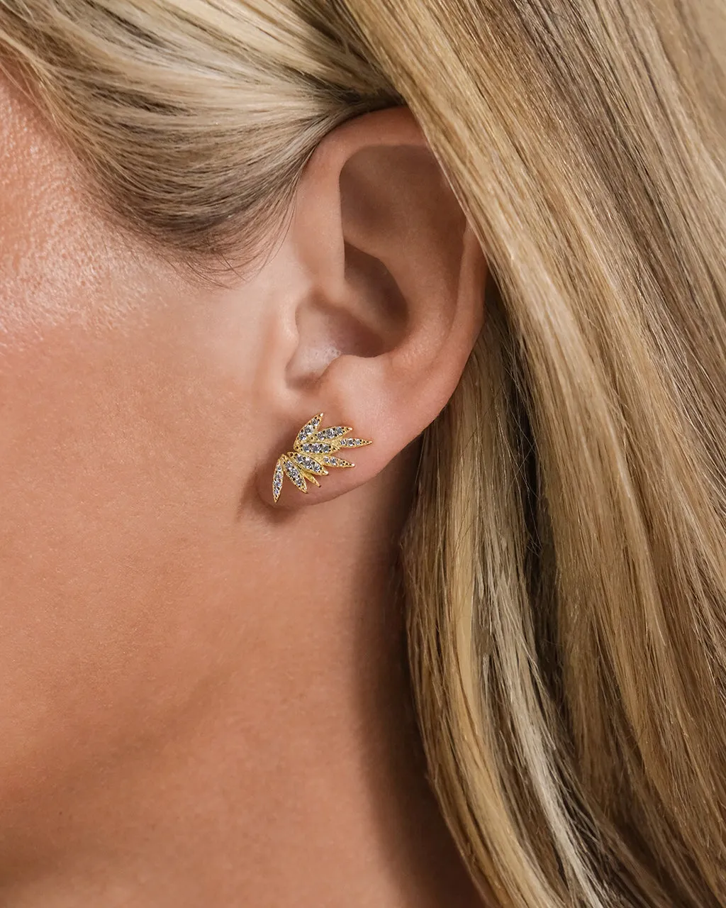 Sterling Silver Devon CZ Earrings